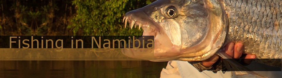 Fishing Safari in Namibia
